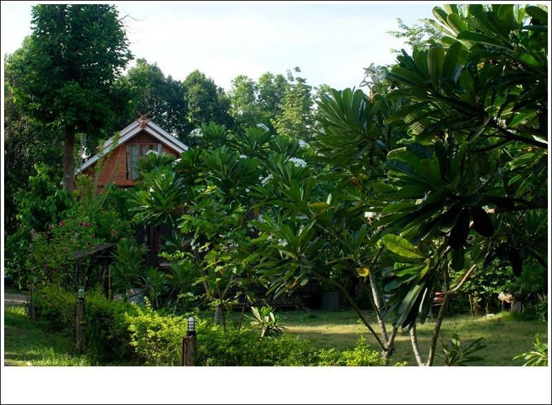 Phuphiangkhiangfah Resort Nan Quarto foto
